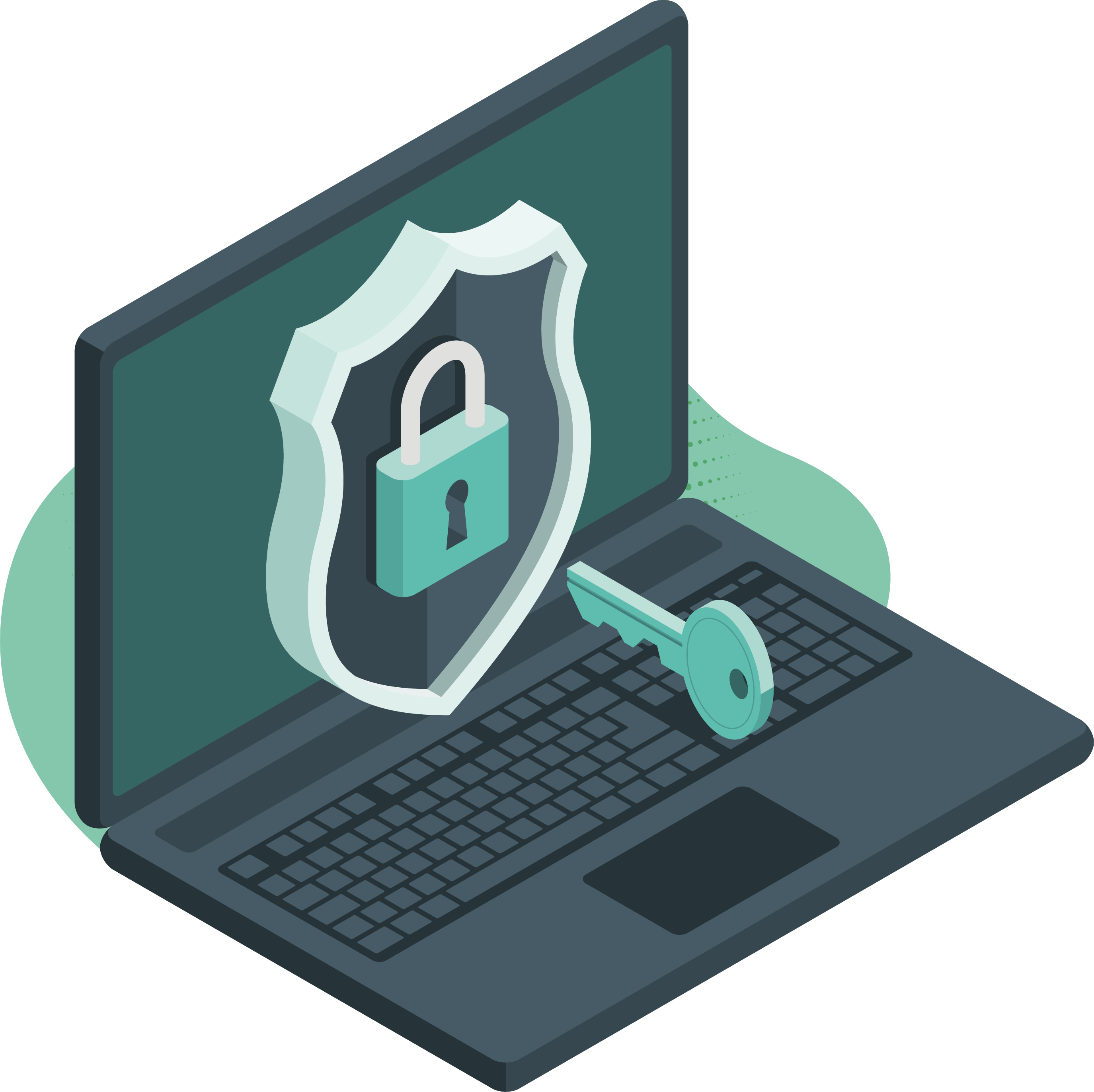 Software & antivirus